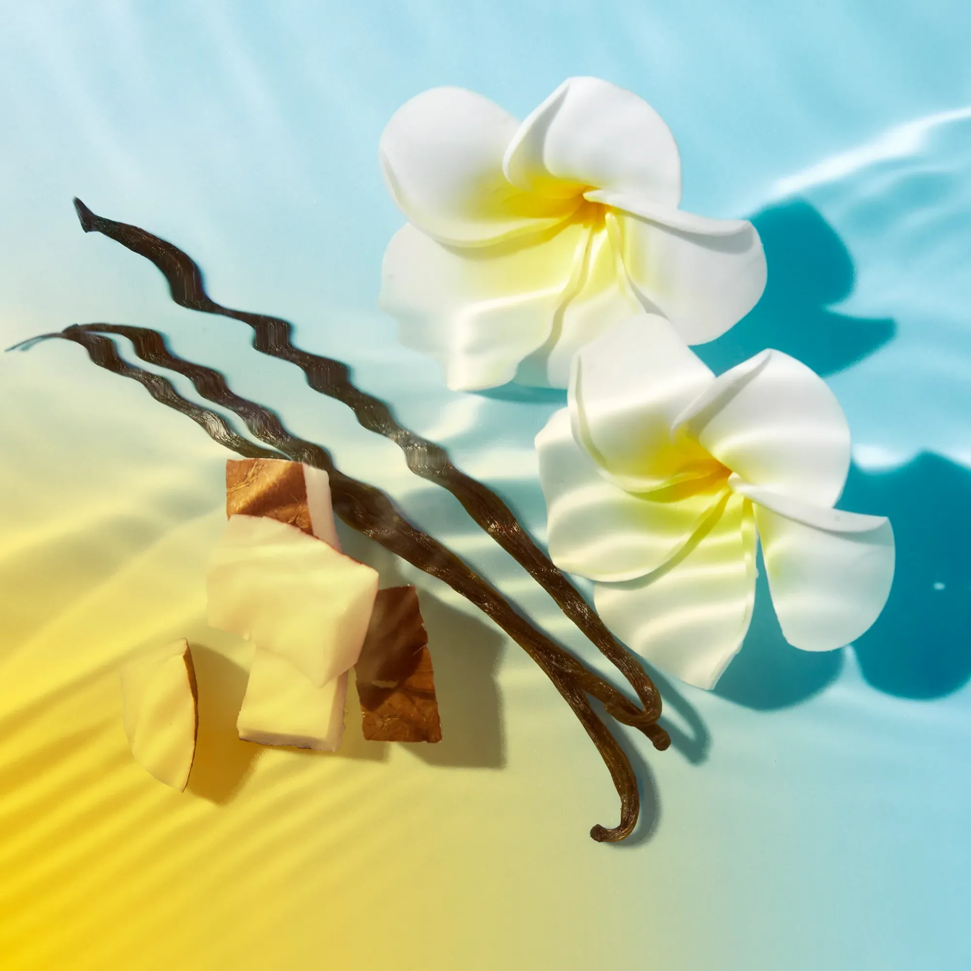 Sale Leichtes Fluid hoher Schutz LSF 50 Tagescreme|Sonnenschutz Gesicht